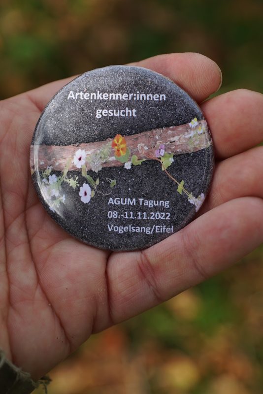 Button mit Aufschrift Artenkenner:innen gesucht